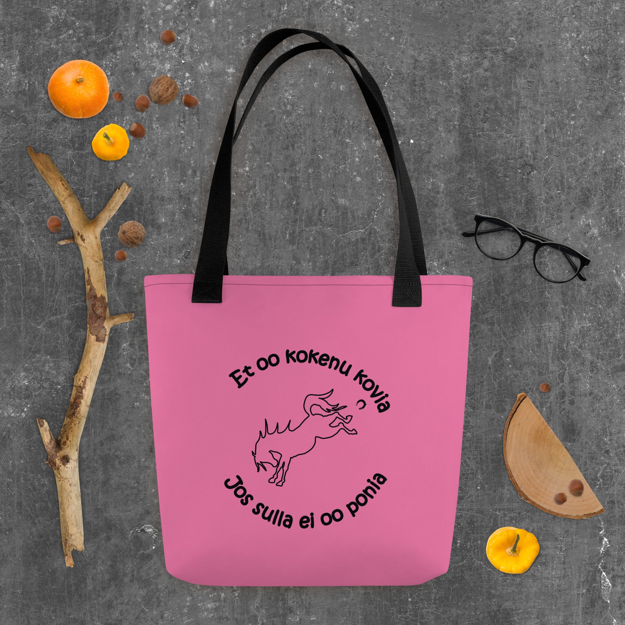 et oo kokenu kovia, jos sulla ei ole ponia. pinkki kassi. 